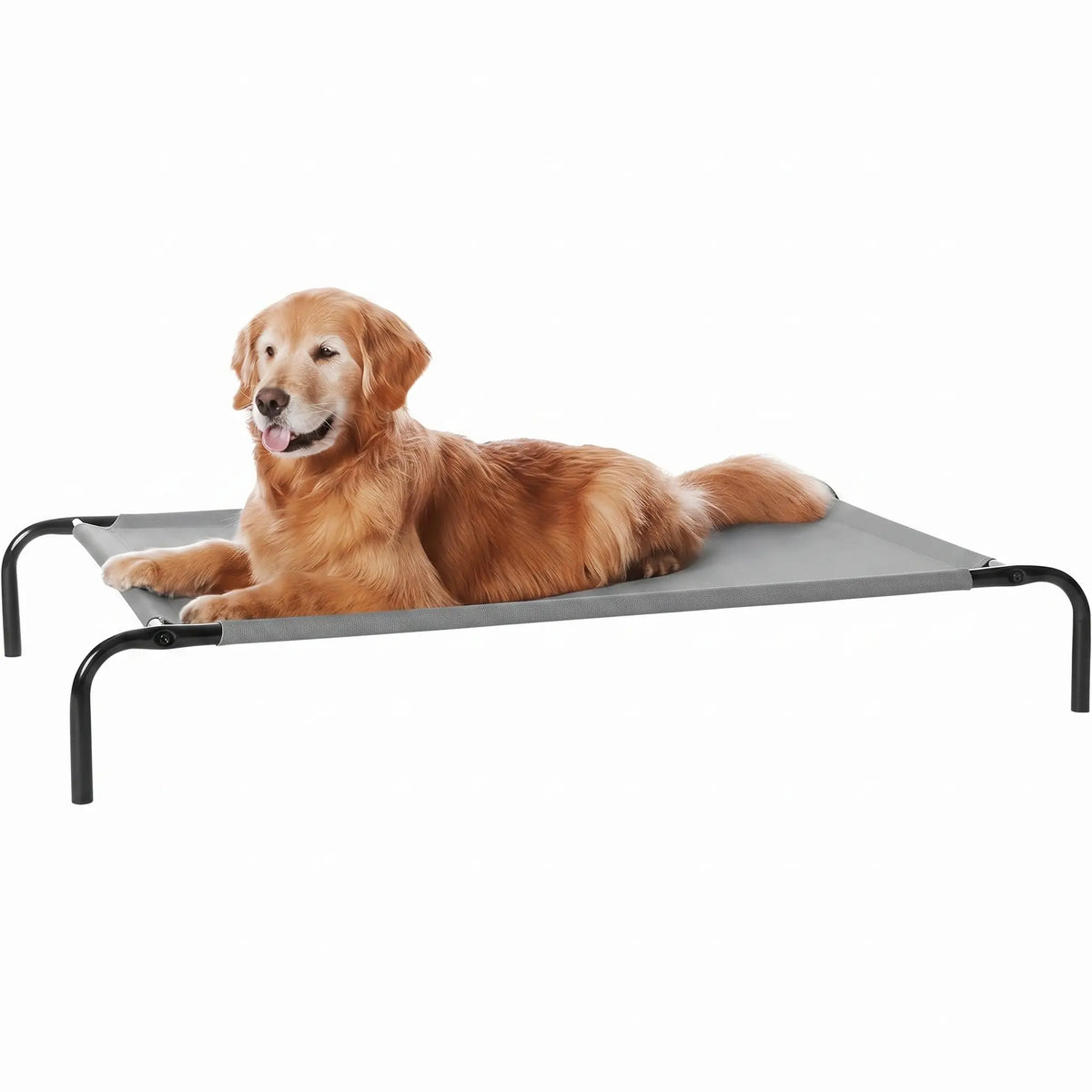Petitrinu Classic Elevated Dog Bed with Metal Frame - Textilene Stretch Mesh Fabric, Cooling, Breathable, Joint Relief for Medium/Large Dogs, 2 Sizes (47.24In×31.89In×9.45In/35.43In×25.59In×8.27In) Pet Cot