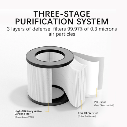 Air Purifier for Bedroom Home App PM2.5 HEPA Air Purifier for Bedroom Living Room for Pet Hair Dust Pollen Odor PJ08
