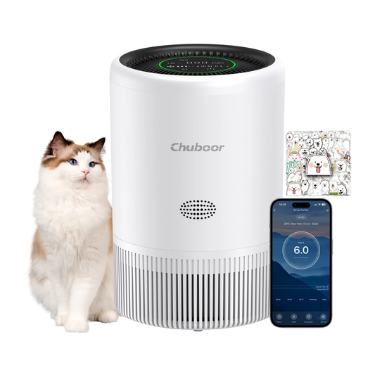 Air Purifier for Bedroom Home App PM2.5 HEPA Air Purifier for Bedroom Living Room for Pet Hair Dust Pollen Odor PJ08